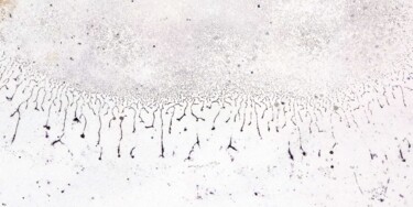 Photographie intitulée "C aussi une Foule..." par C... Clair, Œuvre d'art originale, Photographie numérique Monté sur Alumin…