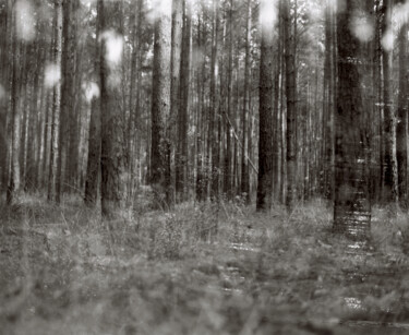 摄影 标题为“ABSTRACTION DES COL…” 由Martin Ecker, 原创艺术品, 电影摄影