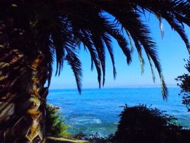 Tropical View from the Monterey Shore Fotografia intitolato "Tropical View from…" da Troy Wilson-Ripsom, Opera d'arte originale, Fotografia digitale