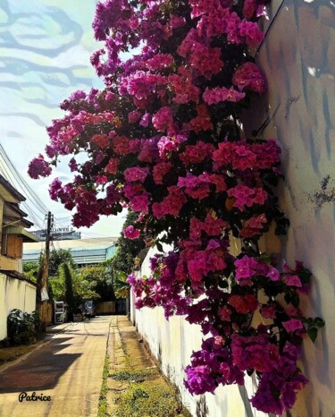 摄影 标题为“Wall amidst the "Bl…” 由Patrick John Bennett (Patrice), 原创艺术品, 数码摄影