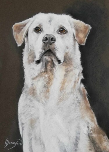Peinture intitulée "Labrador commande" par Isabelle Derangere, Œuvre d'art originale, Pastel