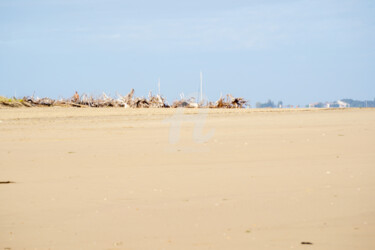Photography titled "le rejet" by A.T Photographie, Original Artwork, Digital Photography