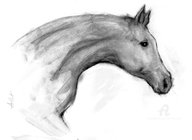 "Tête de cheval" başlıklı Resim Alliet-Delacroix tarafından, Orijinal sanat, Mürekkep
