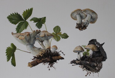 Painting titled "Calocybe gambosa" by Rudolf Suran, Original Artwork, Watercolor