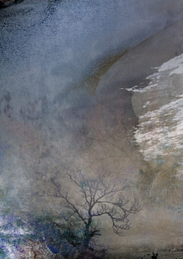 摄影 标题为“Estuaire 5” 由Dominique Comolet, 原创艺术品, 照片蒙太奇