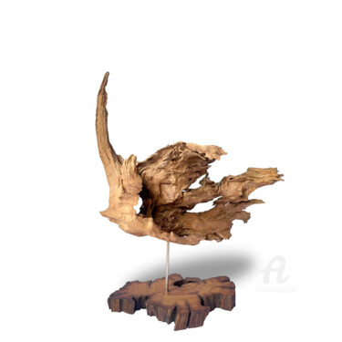 Sculpture intitulée "HARMONY Angelfish D…" par Thang Vu, Œuvre d'art originale, Bois