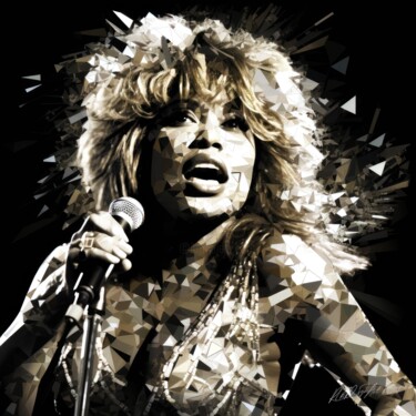 数字艺术 标题为“Tina Turner Tribute…” 由Sykart Designs, 原创艺术品, AI生成的图像