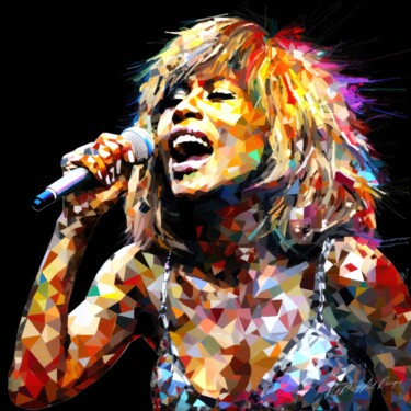 数字艺术 标题为“Who Is Tina Turner…” 由Sykart Designs, 原创艺术品, AI生成的图像