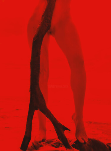 Primal red #07 摄影 标题为“Primal red #07” 由Sai Samurai, 原创艺术品, 数码摄影