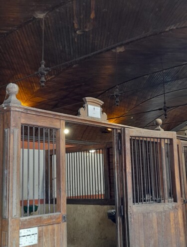 摄影 标题为“Haras de Tarbes” 由Valérie Perlein, 原创艺术品, 非操纵摄影