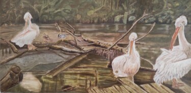 Peinture intitulée "les pélicans" par Pascal Bourgouin, Œuvre d'art originale, Huile