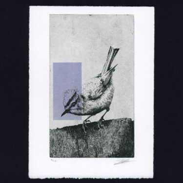 印花与版画 标题为“The Firecrest - Gra…” 由Clement Scarpi, 原创艺术品, 雕刻