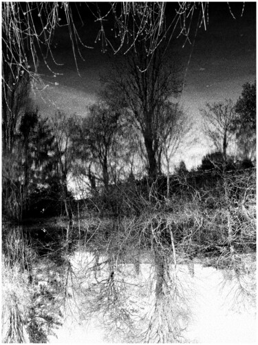 Фотография под названием "Reflets" - Chupalia, Подлинное произведение искусства, Цифровая фотография Установлен на Деревянна…