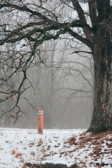 Misty Landscape Photographie intitulée "Misty Landscape" par Kh_yaguar, Œuvre d'art originale, Photographie argentique