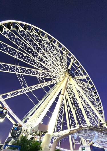 摄影 标题为“Miami Ferris Wheel” 由Joanna Lizbeth, 原创艺术品, 数码摄影