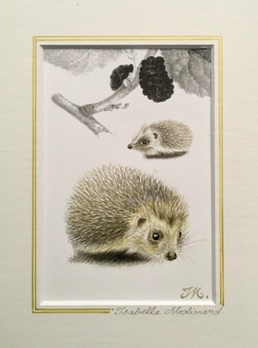 Painting titled "Hérissons -mûre" by Isabelle Molinard, Original Artwork, Watercolor