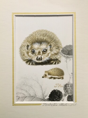 Painting titled "Hérissons-mûrier" by Isabelle Molinard, Original Artwork, Watercolor