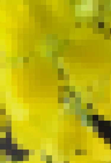 数字艺术 标题为“Projection du jaune” 由Mélanie Cavalec, 原创艺术品, 2D数字工作