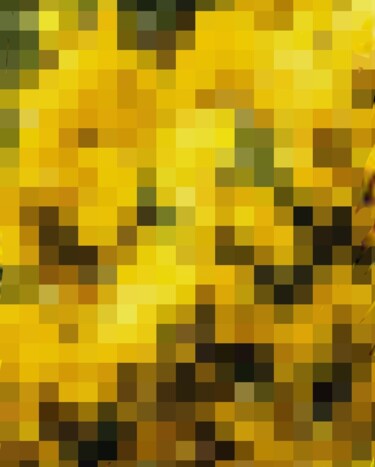 数字艺术 标题为“Projection épineuses” 由Mélanie Cavalec, 原创艺术品, 2D数字工作