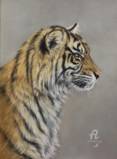 图画 标题为“Young tiger” 由Irene_art, 原创艺术品, 粉彩