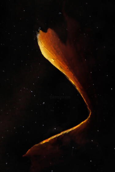 摄影 标题为“Emergence” 由Christophe Sécher, 原创艺术品, 数码摄影