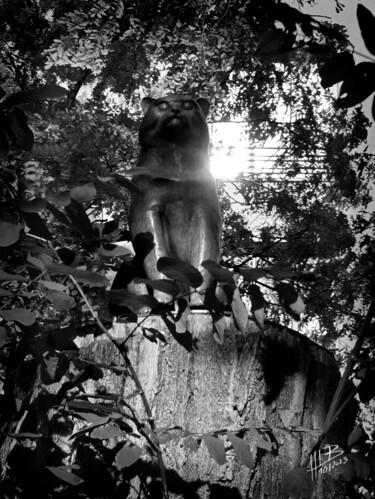 Photographie intitulée "Fond Cartier Paris…" par Hugues Elbe, Œuvre d'art originale, Photographie numérique