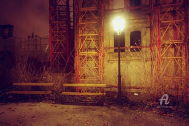 Photography titled "Return to the roots" by Alen Gurovic, Original Artwork, Digital Photography