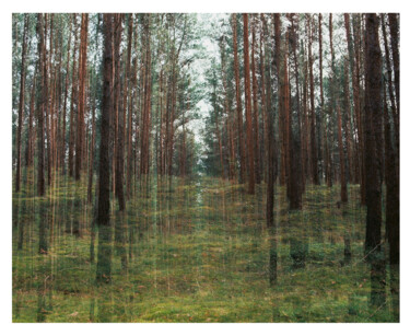 摄影 标题为“ABSTRACTION DES COL…” 由Martin Ecker, 原创艺术品, 电影摄影
