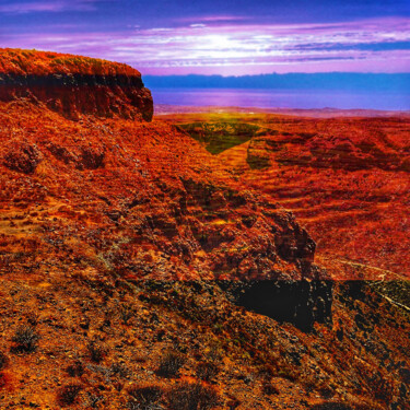 Photographie intitulée "Canaries" par Patrick Maze, Œuvre d'art originale, Photographie numérique