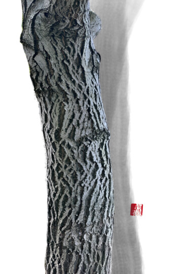 ZEN Baumrinde 3 42° 39' 17,862" N, 11° 39' 39,57" O Digital Arts titled "ZEN Baumrinde 3 42°…" by Andreas Ostermann, Original Artwork, Digital Painting