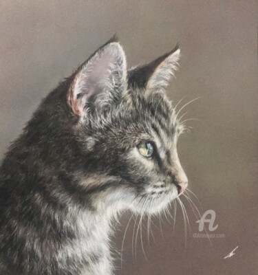 Dessin intitulée "Chat" par Irene_art, Œuvre d'art originale, Pastel