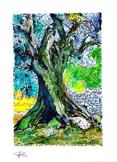 Drawing titled "ULIVO" by Pasquale Luzzo, Original Artwork, Watercolor