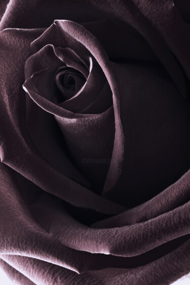 "Flowerissimo_19957" başlıklı Fotoğraf Michael Vdovin tarafından, Orijinal sanat, Dijital Fotoğrafçılık