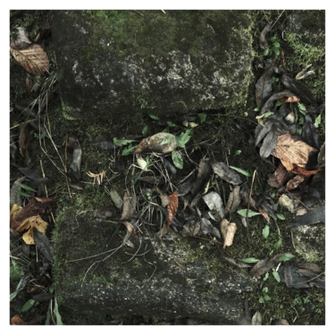 Photography titled "UnderStand LIII (Se…" by Zheka Khalétsky, Original Artwork, Non Manipulated Photography
