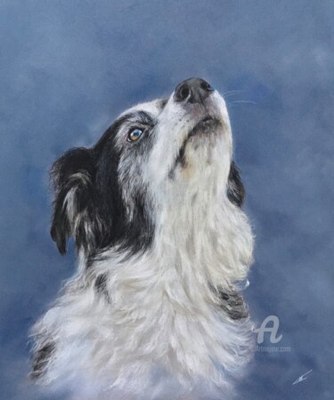图画 标题为“Dog on blue” 由Irene_art, 原创艺术品, 粉彩