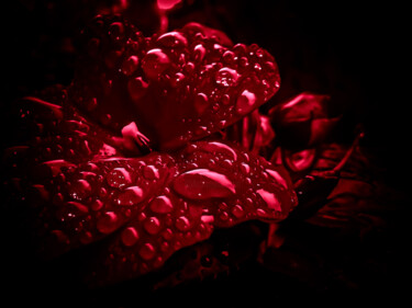 Photographie intitulée "Dimension" par Mélanie Stéphanie Massé Artiste, Œuvre d'art originale, Photographie numérique