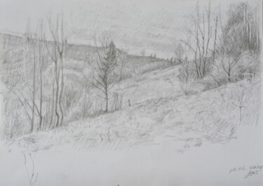 The beauty. Carpathians. Ukraine 제목이 "The beauty. Carpath…"인 그림 Hennadii Volokitin로, 원작, 연필
