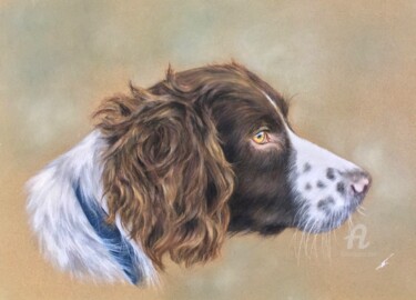 Disegno intitolato "Spaniel" da Irene_art, Opera d'arte originale, Pastello