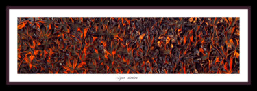 数字艺术 标题为“Fire and aesthetics…” 由Ziya Tatar, 原创艺术品, 数字油画