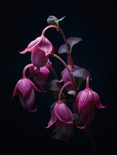 数字艺术 标题为“Close Up Magenta Fl…” 由Bilge Paksoylu, 原创艺术品, AI生成的图像
