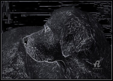 Digitale Kunst getiteld "Among the mist: a d…" door Devonmeert, Origineel Kunstwerk, 2D Digital Work
