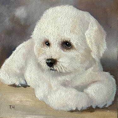 Miniature “Bichon frise” Peinture intitulée "Miniature “Bichon f…" par Tatjana Cechun, Œuvre d'art originale, Huile
