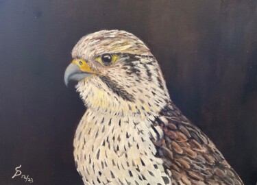 Malerei mit dem Titel "Saker Falcon // fau…" von Stefan Dhein, Original-Kunstwerk, Öl