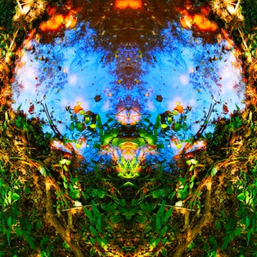 Photographie intitulée "La Naissance" par Audrey Chaa, Œuvre d'art originale, Photographie manipulée Monté sur Aluminium