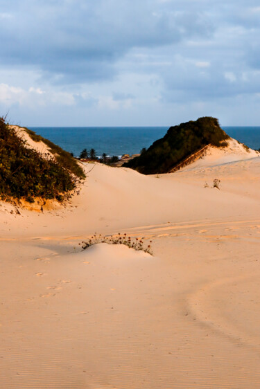 제목이 "Dunas III"인 사진 Halder로, 원작, 디지털