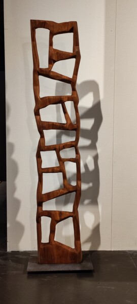 Scultura intitolato "GEOMETRIE VUOTE" da Ivan Fabani, Opera d'arte originale, Legno