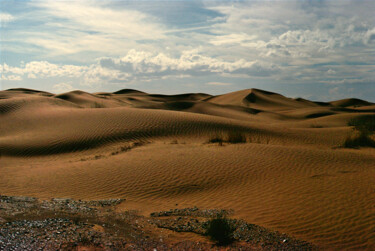 Photography titled "Dunes" by Angie Black, Original Artwork, Digital Photography