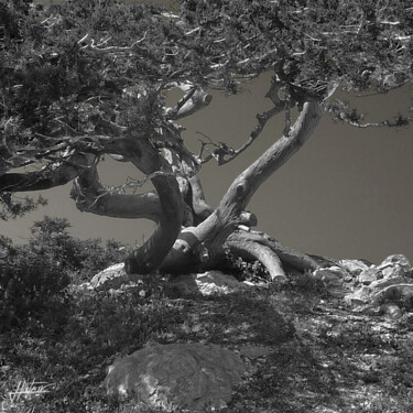 Photography titled "Au nid d'aigle 2 .…" by Jacques Lateur, Original Artwork, Digital Photography