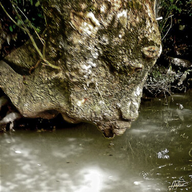 Photography titled "Le baiser sur l'eau" by Jacques Lateur, Original Artwork, Digital Photography