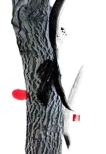 ZEN Tattoo v0 42° 39' 17,862" N, 11° 39' 39,57" O "ZEN Tattoo v0 42° 3…" başlıklı Dijital Sanat Andreas Ostermann tarafından, Orijinal sanat, Dijital Resim